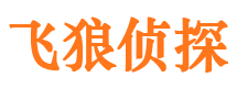 龙井飞狼私家侦探公司